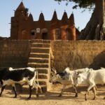 Segou History and Arts Day Tour from Bamako