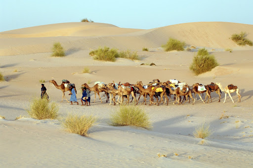 Tuareg Nomads